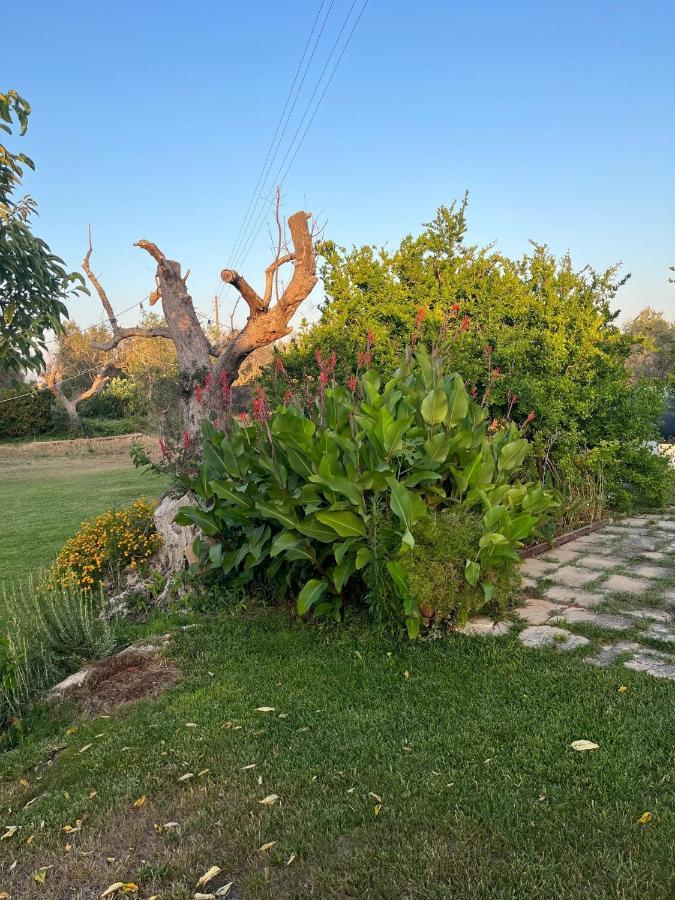 Li Papi Villa Galatone Luaran gambar